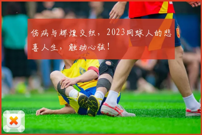 伤病与辉煌交织，2023网球人的悲喜人生，触动心弦！