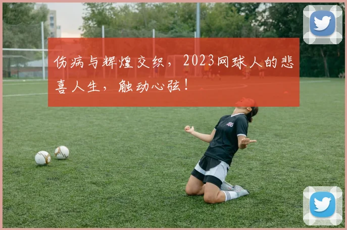 伤病与辉煌交织,2023网球人的悲喜人生,触动心弦!
